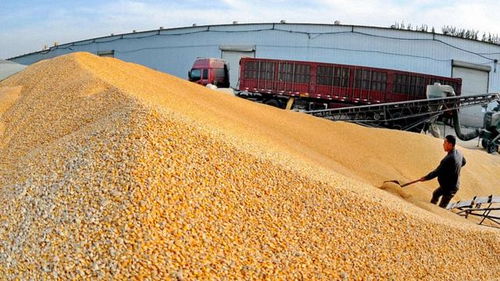 2018年農村經濟形勢嚴峻，農民增收困難，出路何在？