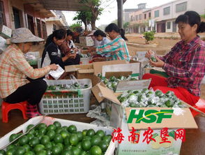 東昌農產品收購市場聚財氣，助力農副產品銷售興旺