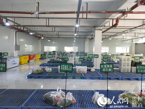 紅花崗區農產品產銷對接智慧服務中心首日運營成效顯著，發貨量達40余噸