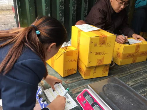 電商賦能太行百歲品牌，助力初級(jí)農(nóng)產(chǎn)品收購(gòu)新篇章